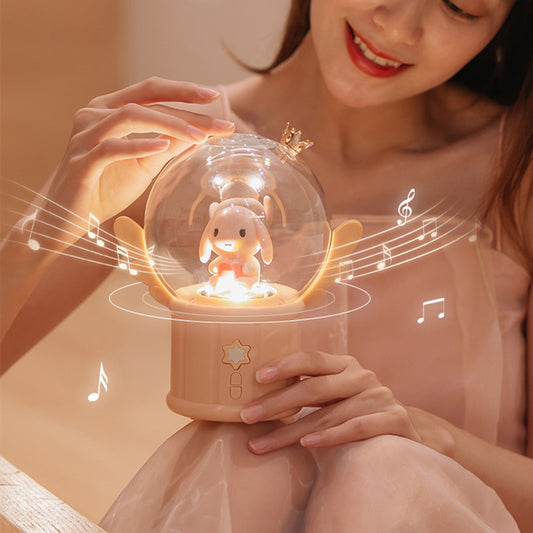 USB Charging Bluetooth Sound Night Light